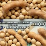 Dólar soja: estiman ingresaron más de $70.000 millones para ayuda alimentaria y desarrollo regional